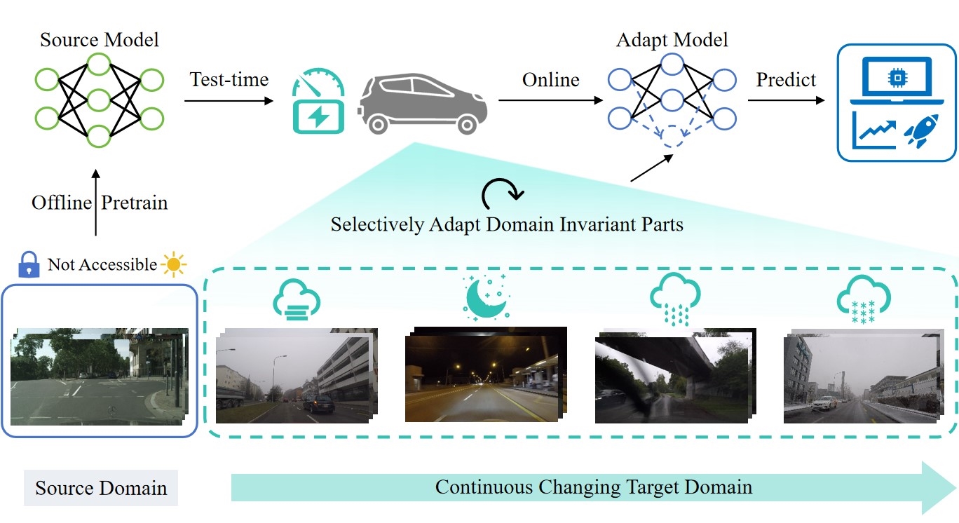Efficient Test-time Adaptive Object Detection via Sensitivity-Guided Pruning